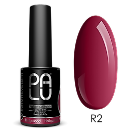 PALU Hollywood R2 11g